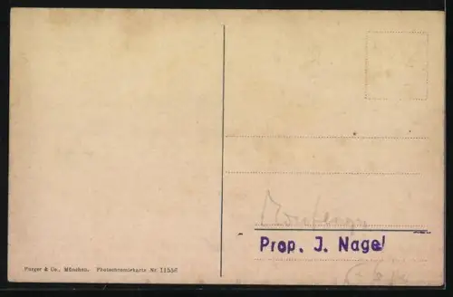 AK Castelnuovo, Ortsansicht vom Wasser aus