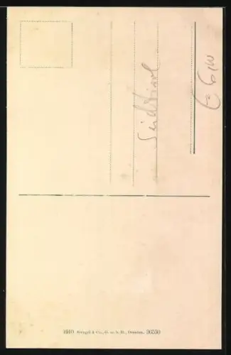 AK Toblach, Totalansicht mit Blick in das Ampezzotal