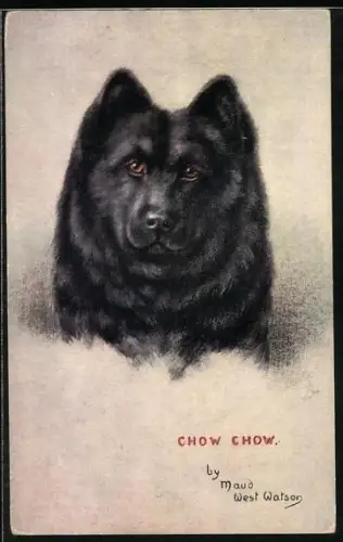 Künstler-AK Schwarzer Chow Chow mit treuem Blick
