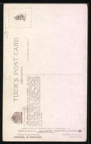 Künstler-AK Schwarzer Chow Chow mit treuem Blick