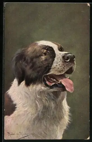 Künstler-AK M. Müller jun.: Hechelnder Bernhardiner mit treuem Blick