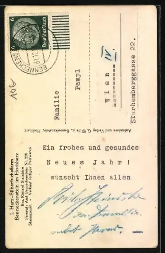 AK Benneckenstein, I. Harz-Silberfuchsfarm, Silberkreuzfuchs