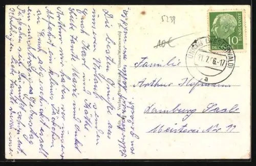 AK Unnau /Westerwald, Ortsansicht mit Viehweide