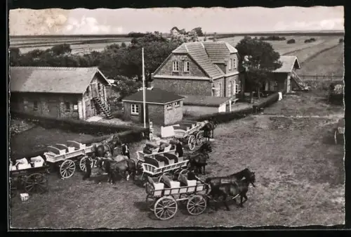 AK Neuwerk, Teilansicht des Ortes mit Wattwägen