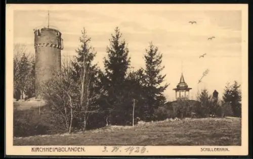 AK Kirchheimbolanden, Schillerhain mit umgebender Natur