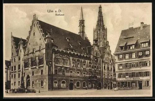 AK Ulm a. D., Rathaus mit Strassenpartie und Geschäft von Adolf Ripple