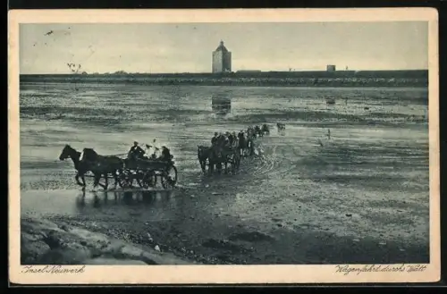 AK Hamburg-Insel Neuwerk, Wagenfahrt durchs Watt
