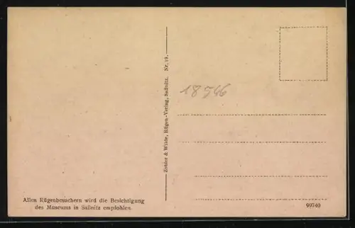 AK Sassnitz a. Rügen, Blick vom Meer zum Ort