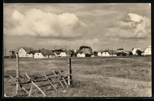 AK Neuendorf /Hiddensee, Blick zum Ort
