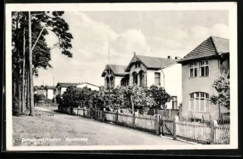 AK Zempin auf Usedom, Waldstrasse