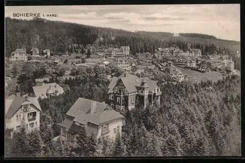 AK Schierke i. Harz, Ortsansicht mit Wald