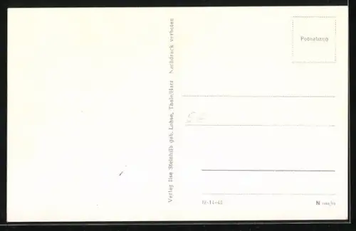 AK Hasselfelde im Harz, Waldsee-Bad