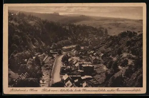 AK Rübeland i. Harz, Blick vom Nebelholz