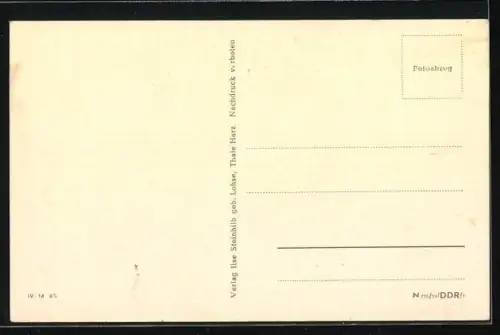 AK Friedensau /Burg, Partie am Sanatorium