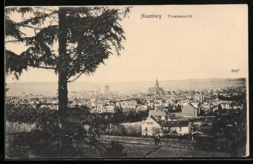 AK Naumburg / Saale, Totalansicht