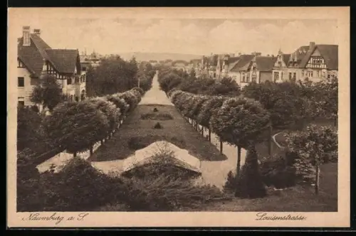 AK Naumburg a. S., Blick in die Luisenstrasse