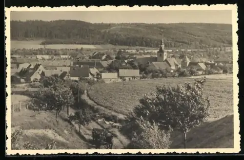AK Meisdorf /Ostharz, Ortsansicht mit Kirche