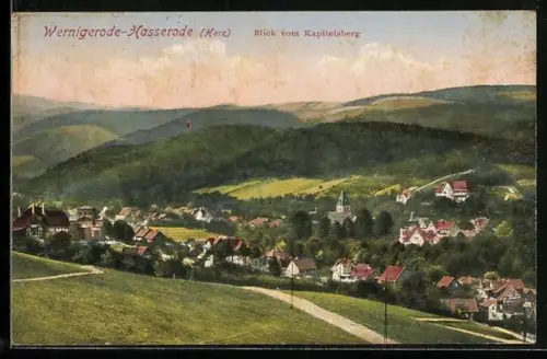 AK Wernigerode-Hasserode /Harz, Blick vom Kapitelsberg