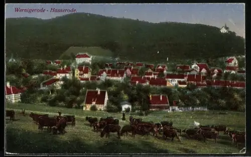 AK Wernigerode-Hasserode, Ortsansicht mit Viehweide