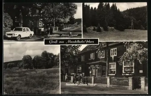AK Mandelholz /Harz, Gasthaus Grüne Tanne
