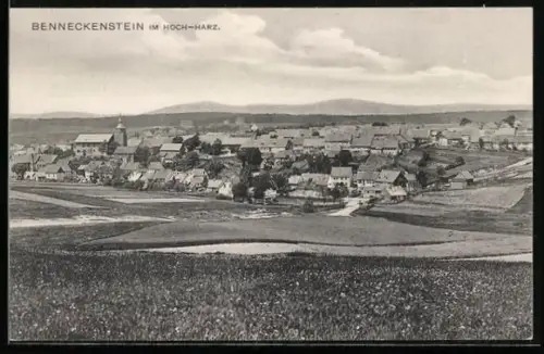 AK Benneckenstein im Hoch-Harz, Ortsansicht mit Kirche