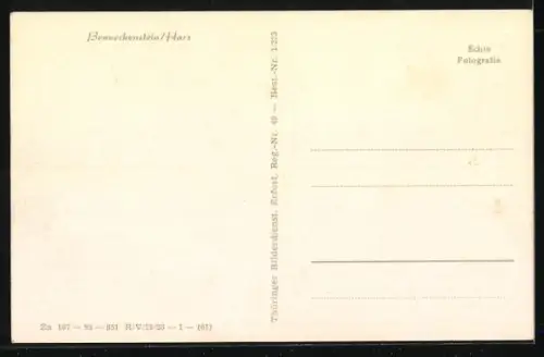 AK Benneckenstein /Harz, Ortsansicht mit Kirche und Fachwerkhaus