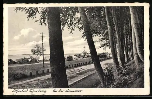 AK Scharbeutz /Ostsee, Weg am Waldrand, Blick zur Ostsee