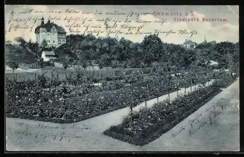 AK Chemnitz i. S., Stadtpark Rosarium