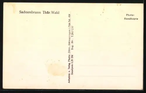 AK Sachsenbrunn /Thür.Wald, Strassenansicht mit Kirche