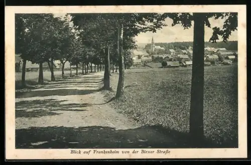 AK Frankenheim / Rhön, Blick von der Birxer Strasse auf den Ort