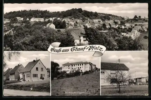 AK Stauf /Pfalz, Totalansicht, Kindererholungsheim und Strassenpartien