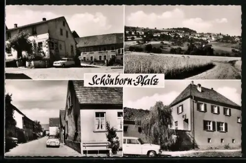 AK Schönborn /Pfalz, Gasthaus und Strassenpartien