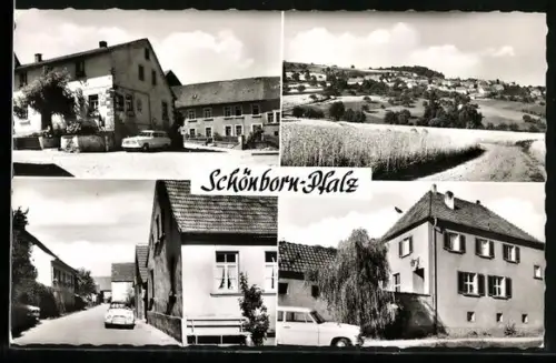 AK Schönborn /Pfalz, Gesamtansicht, Gasthaus und Strassenpartien