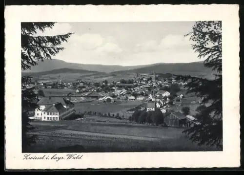 AK Zwiesel /Bayr. Wald, Ortsansicht vom Berghang aus