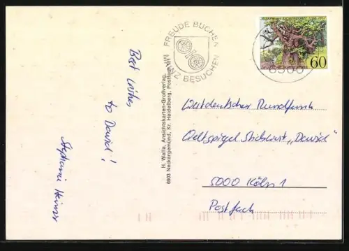 AK Langmeil, Bachpartie, Rathaus, Schule, Ortspanorama