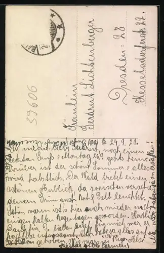 AK Ballenstedt a. H., Schäfergruppe auf der Schlossterrasse