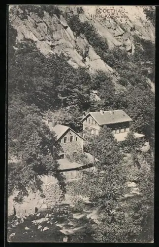 AK Bodetal, Blick auf das Hotel Königsruhe vom Berghang aus