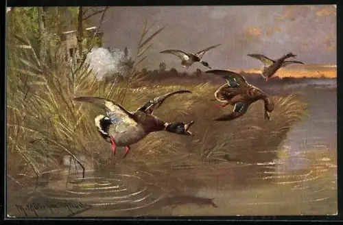 Künstler-AK M. Müller jun.: Jäger beim Abschuss einer Ente