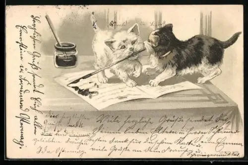 AK Süsse Katzen spielen mit einem Federhalter