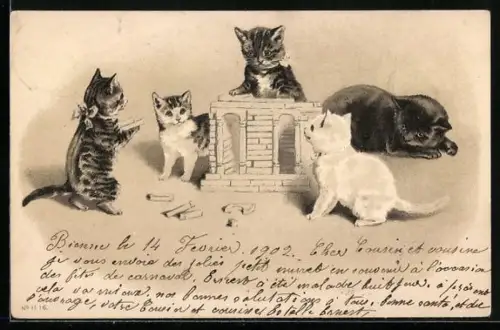 AK Katzenkinder bauen ein kleines Spielhaus