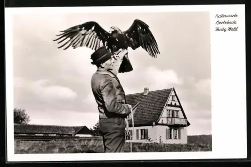 AK Berlebeck, Kaiseradler vor dem Abflug
