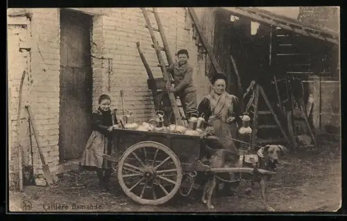 AK Laitière flamande