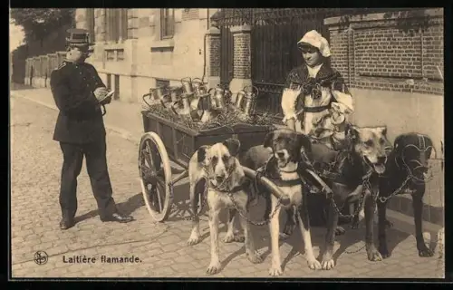 AK Laitière flamande, Milchwagen mit Hundegespann