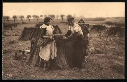AK La mise en chaînes du lin vert