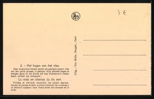 AK La mise en chaînes du lin vert