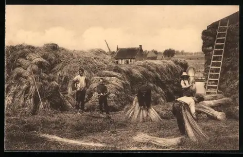 AK Het mijten, Bauern bündeln Flachs
