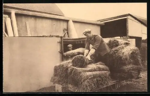 AK Handwerk, Reet-Dachdecker bei der Arbeit