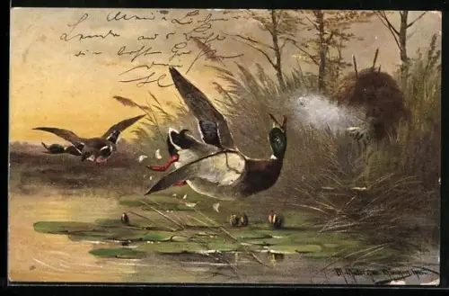 Künstler-AK M. Müller jun.: Enten überfliegen einen See