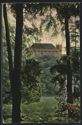 AK Prag / Praha, Baumgarten und Statthalter-Schloss