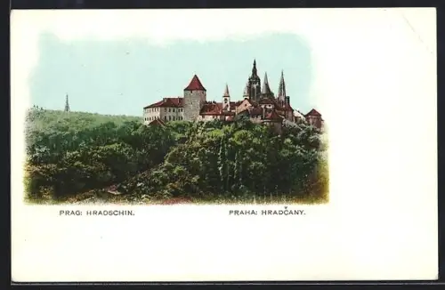 AK Prag / Praha, Hradschin, Panorama